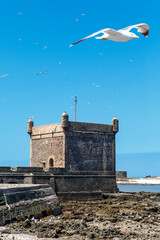 Borj El Barmil, tower of Essaouira ramparts at the harbour of Essaouira, Morocco, North Africa