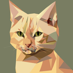 vector illustration portrait of a cat