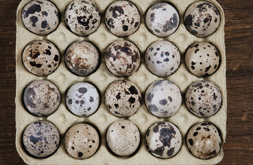Spotted eggs on wooden background