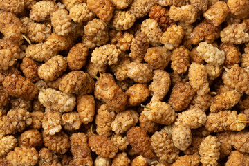 Dried mulberries full frame as background close up