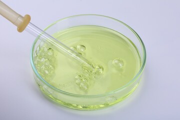 Petri dish with liquid sample and pipette on white background