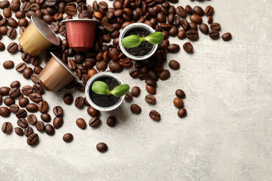 Coffee capsules with seedlings and beans on light grey table, flat lay. Space for text