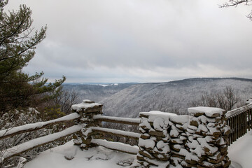 Coopers Rock overlook in the winter