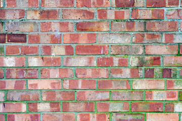 Fototapeta premium Old Brick Wall