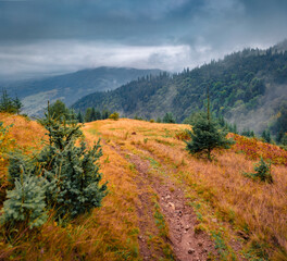 Fototapeta na wymiar Trekking in foggy mountains. Dramatic morning view of mountain valley in September. Colorful autumn scene of Carpathian mountains with trekking path, Ukraine. Beauty of nature concept background.
