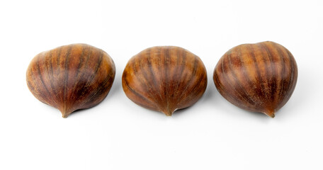 Edible chestnuts isolated on white background. Castanea sativa, the sweet or Spanish chestnut close up.