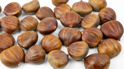 Edible chestnuts isolated on white background. Castanea sativa, the sweet or Spanish chestnut close up.