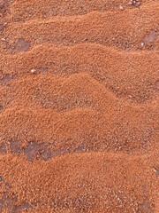 Grains of sand close up after sand rain
