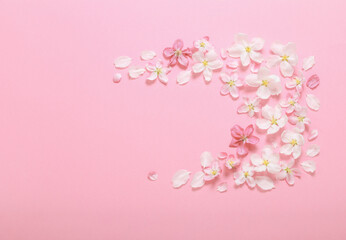 Fototapeta na wymiar pink apple flowers on pink background