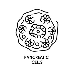 Pancreatic cell color line icon. Microorganisms microbes, bacteria.