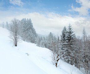 Winter mountain foggy dull day snowy landscape
