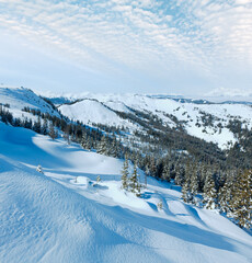Winter mountain landscape with snowy spruce trees on slope (Hochkoenig region, Austria)