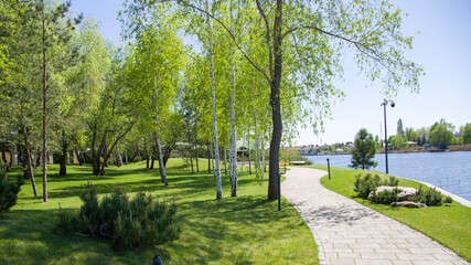 path in the park, summer day