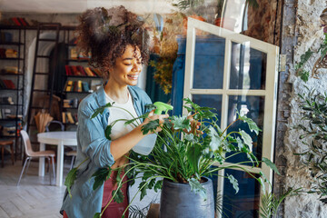 Young Afro American woman plant lover taking care of houseplant