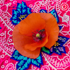 red poppy flower in an embroidered background