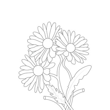 white chrysanthemum flower