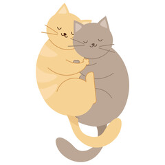 Two flat cats lie hugging