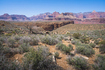 hiking the tonto trail in the grand canyon national park, arizona, usa