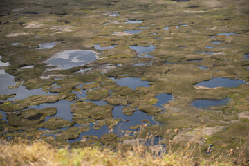 swamp lake at the volcano on the easter island