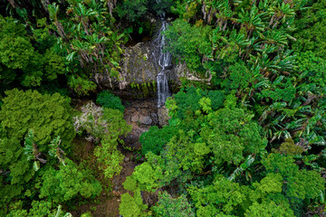 Aerial view of a waterfall hidden in a forest located at Osterlog valley, Mauritius