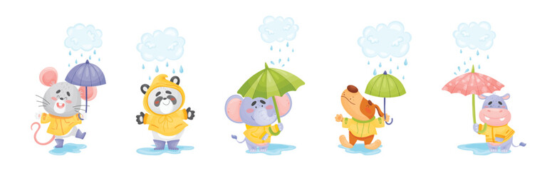 Fototapeta premium Happy Animals Wearing Coat Walking in Rainy Day with Umbrella Vector Set