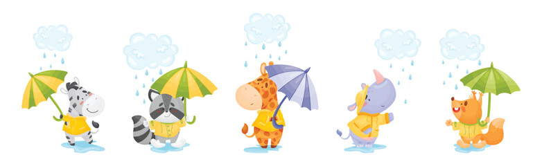 Happy Animals Wearing Coat Walking in Rainy Day with Umbrella Vector Set