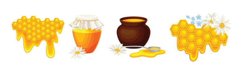 Honey Product with Jar, Pot and Honeycomb Vector Set
