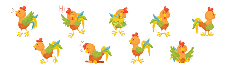 Funny Rooster or Cockerel Character in Different Pose Vector Set