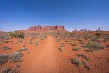Fototapeta premium hiking the wildcat trail in monument valley, arizona, usa