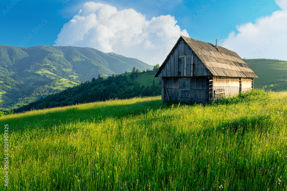 Wall mural majestic rural grassland in the carpathian mountains. ukraine. rustic lonely wooden house on the gre - Wall murals