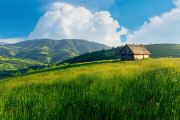 Majestic rural grassland in the Carpathian mountains. Ukraine. Rustic lonely wooden house on the green grass summer hill under the beautiful sky with cumulus clouds.