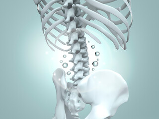 healthy bone human with Collagen, Medical food concept background and Foods vitamin or Calcium, and 3d illustration.
