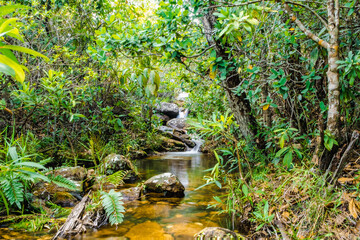 Chapada dos Veadeiros