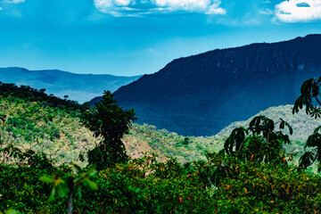 Chapada dos Veadeiros