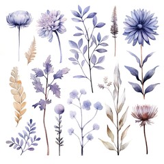watercolor flowers, a set of illustrations in handmade watercolor style on a white background, generative ai	