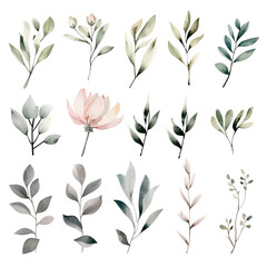 Fototapeta na wymiar watercolor flowers, a set of illustrations in handmade watercolor style on a white background, generative ai 