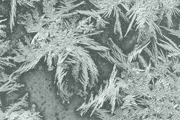 Delightful needle frost patterns on the window glass. Macro shot.
