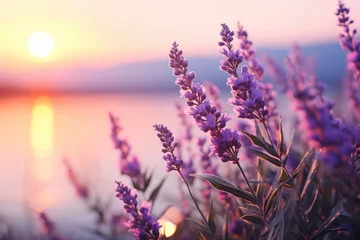 Deurstickers Close-up of lavender at sunset, Design template for lifestyle illustration. © Ivy