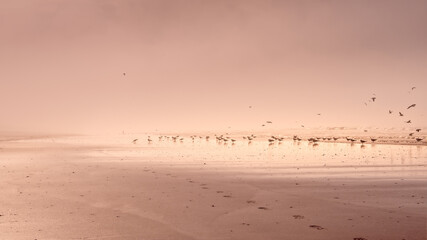 Praias e costa portuguesa

