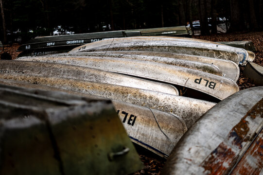 Rows of rental canoes