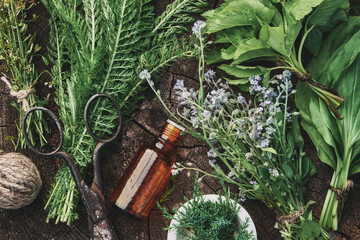 Medicinal infusion bottle, mortar and bunches of fresh medicinal herbs - forget me not, plantain, juniper, yarrow, shepherd purse, viburnum leaves. Top view, flat lay. Alternative herbal medicine. - obrazy, fototapety, plakaty