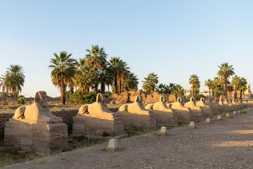 Luxor, Egypt; January 2, 2024 - The Sphinx statues lined along the avenue leading to the Luxor...