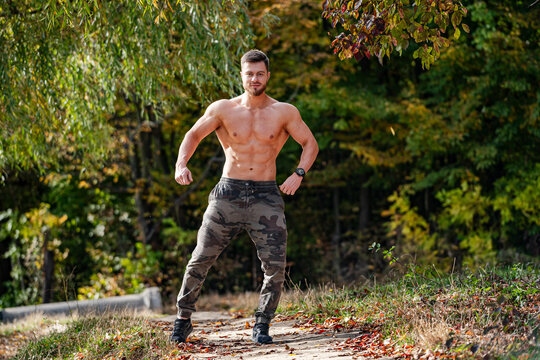 Shirtless Man Posing in a Serene Forest Setting. A shirtless man standing on a path in the woods