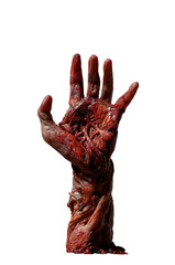 Bloody zombie flesh hand reaching up - Halloween concept - Premium pen tool cutout transparent PNG background - open palm and arm visible - reaching up for help - rotting skin after a pandemics - obrazy, fototapety, plakaty