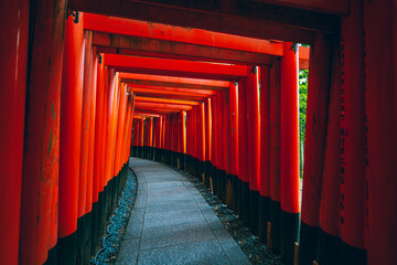 Fushimi Inari Shrine in Kyoto, Japan