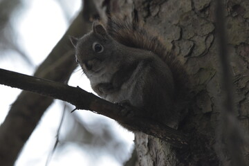 La Plaine 2 Janvier 2024