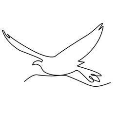 continuous line of bird