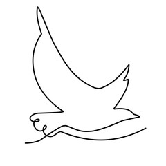 continuous line of bird