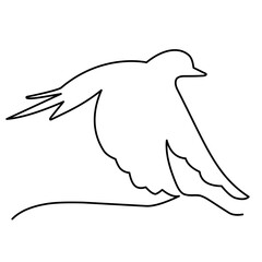 continuous line of bird