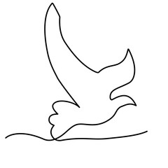 continuous line of bird